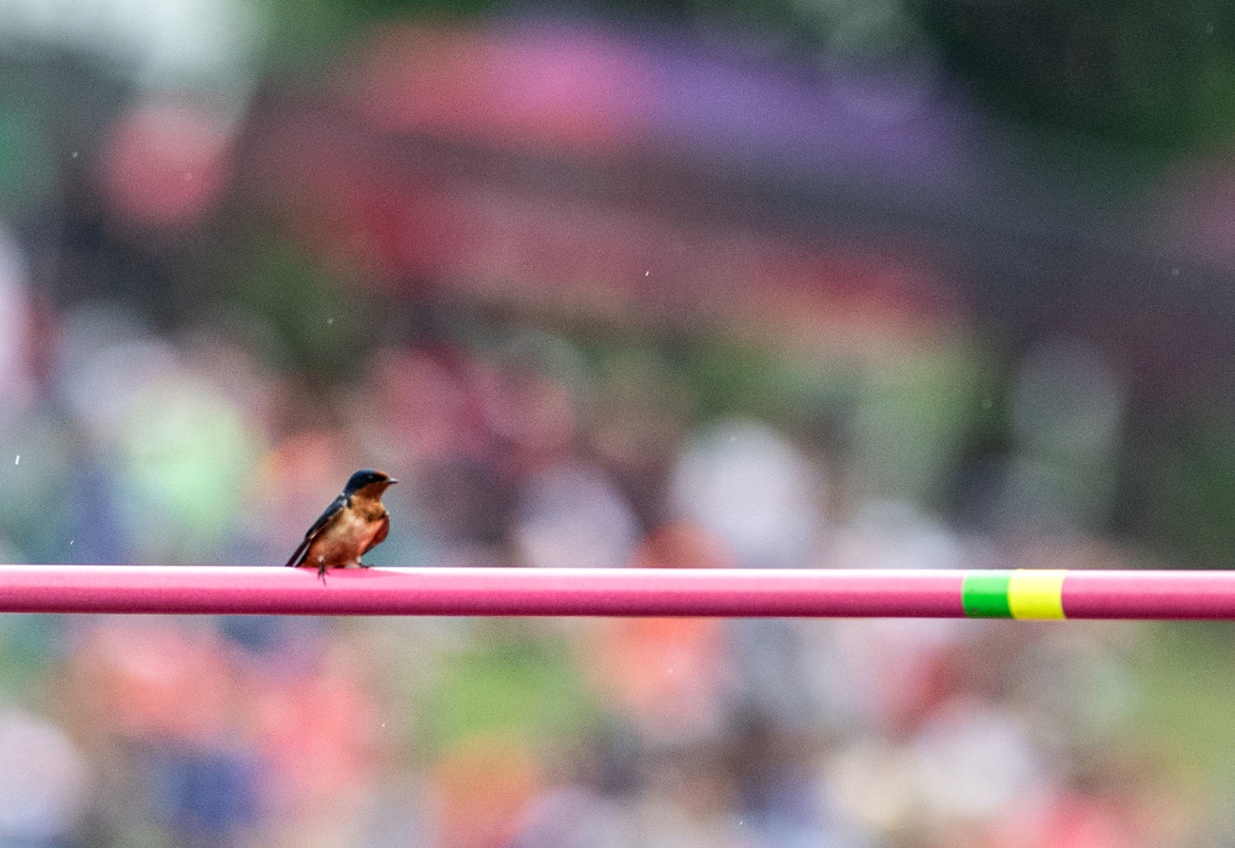 State track, 5.18